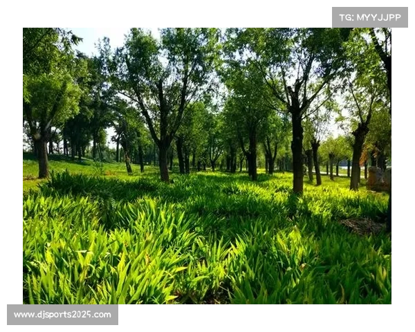 亚赫亚耶夫技术全面，未来冠军挑战者候选受期待